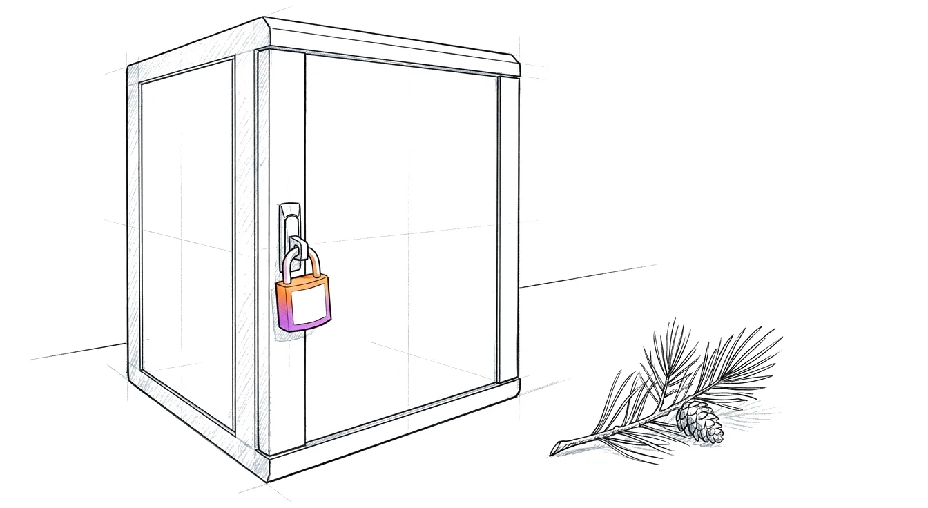 Sketch: a closed server cabinet with a small padlock in the gradient on its latch, and a sprig of pine on the floor beside it.